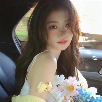 认识狗狗